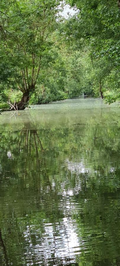 Chaille-Les-Marais L'Enclos Bleu, Gite - Marais Poitevin Avec Piscine Chauffee מראה חיצוני תמונה